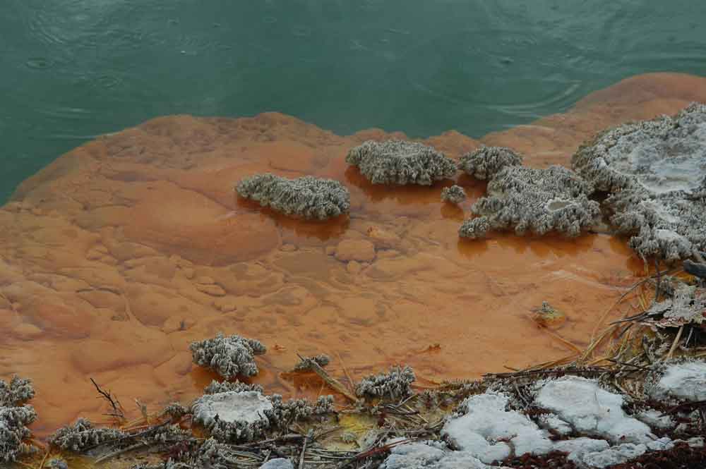 80 - Nueva Zelanda - Rotorua, Wai-o-tapu, piscina de opalo